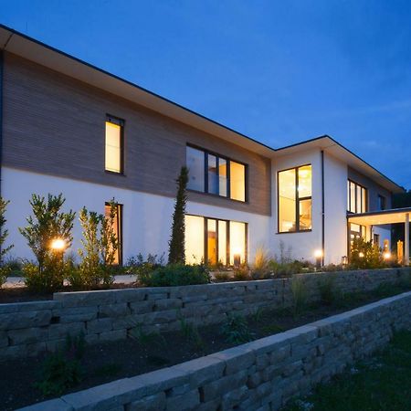Weinvilla Vollmayer Hilzingen ภายนอก รูปภาพ