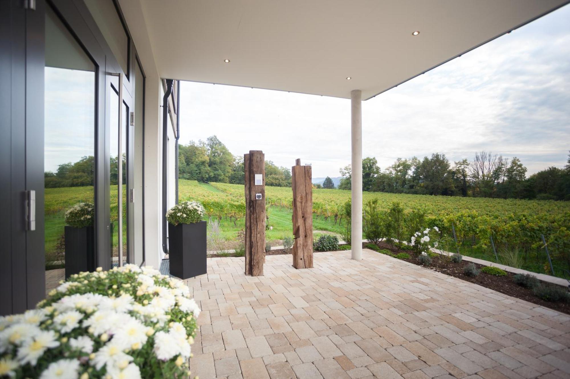 Weinvilla Vollmayer Hilzingen ภายนอก รูปภาพ